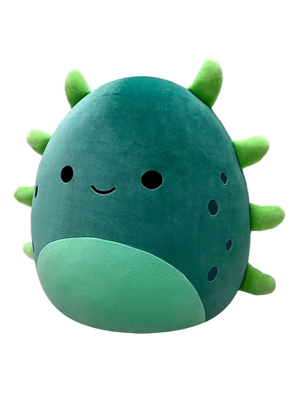 Deniz Hıyarı Wasabi 40cm CR07041-1