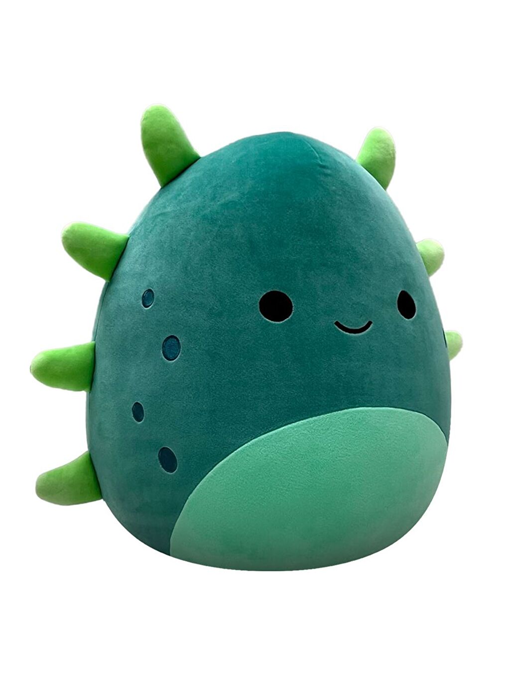 Deniz Hıyarı Wasabi 40cm CR07041-2