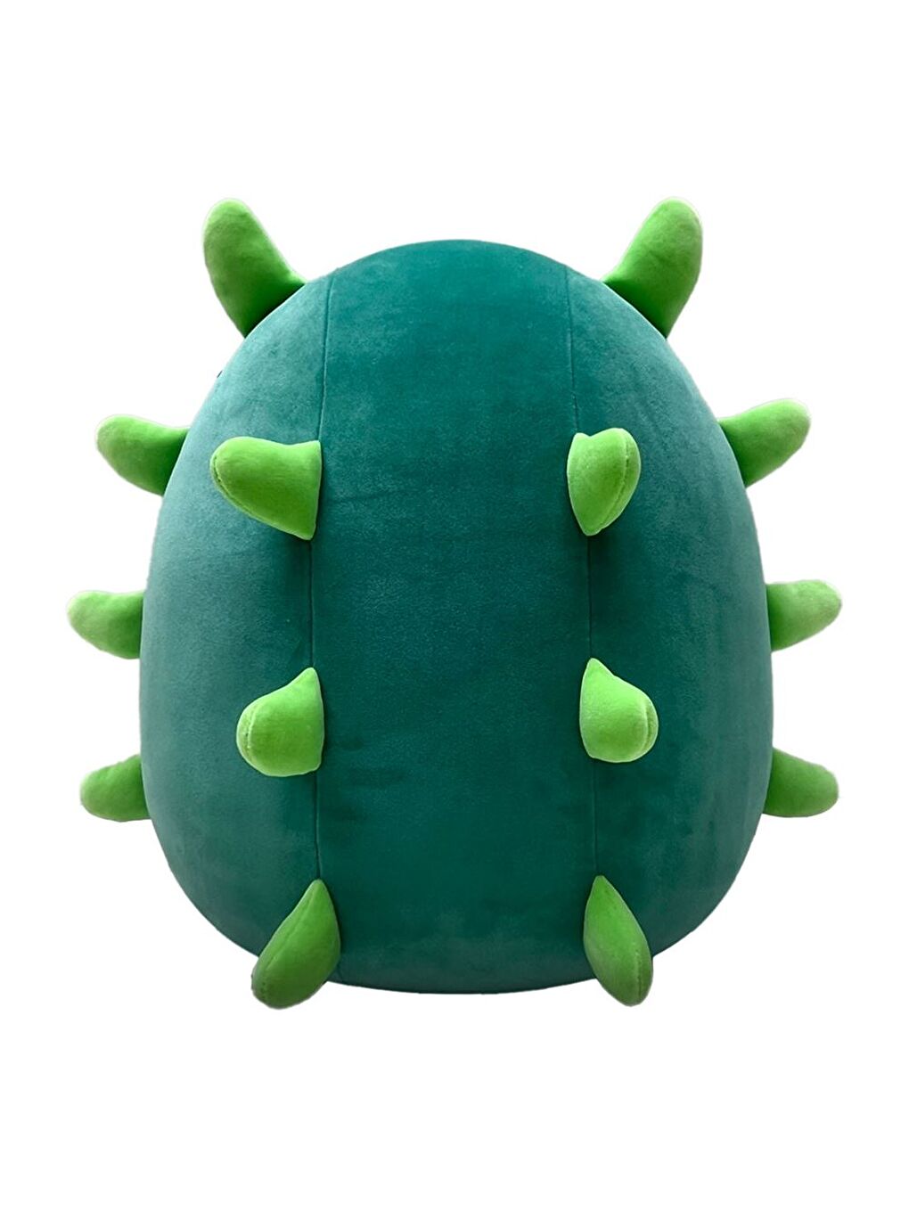 Deniz Hıyarı Wasabi 40cm CR07041-4