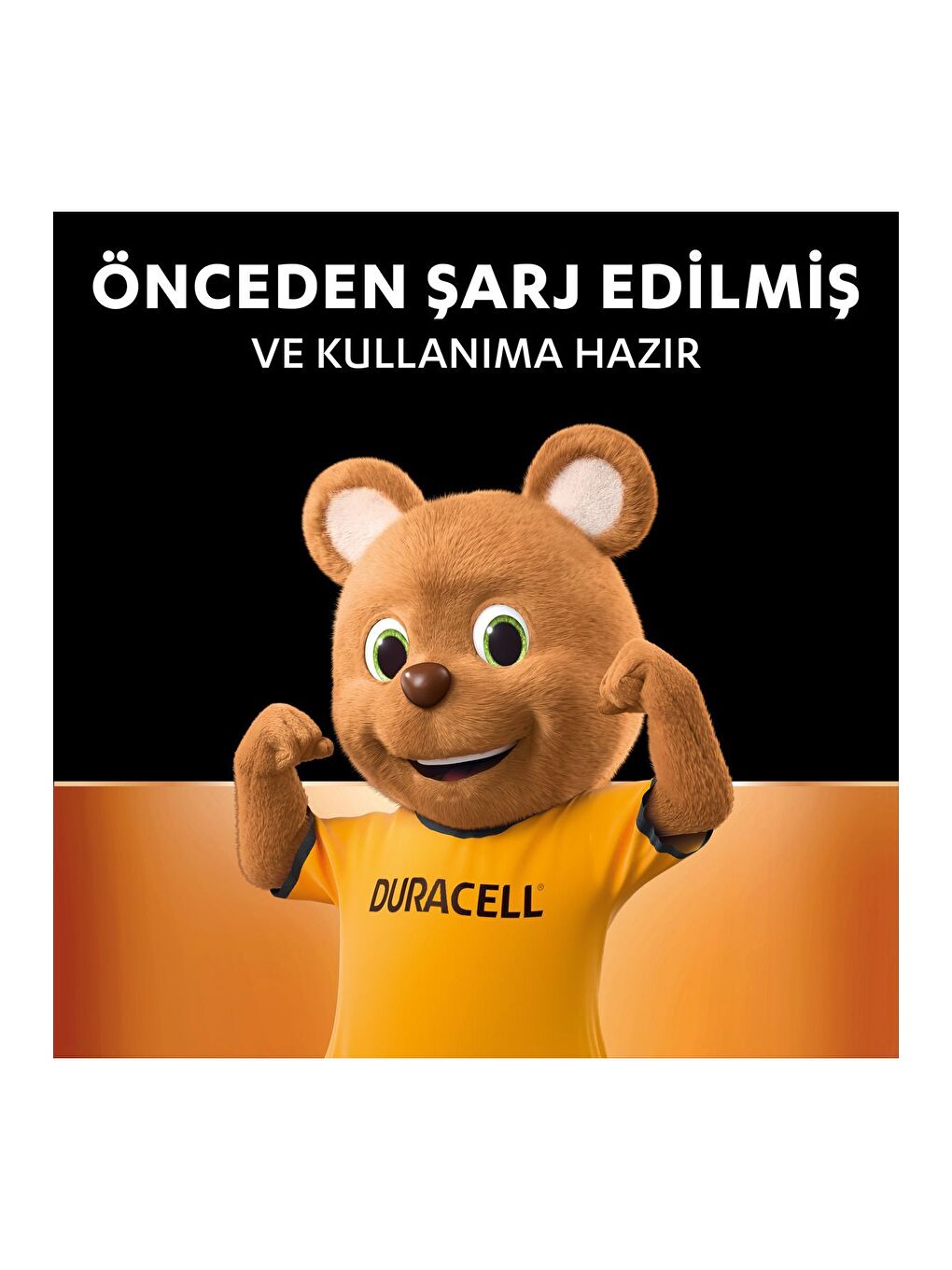 Şarj Edilebilir AAA İnce Kalem Pil  2 li Paket   750 mAh NiMH-4