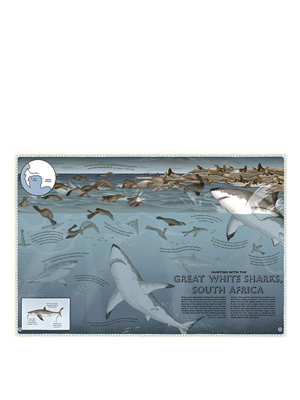 Atlas of Ocean Adventures-2