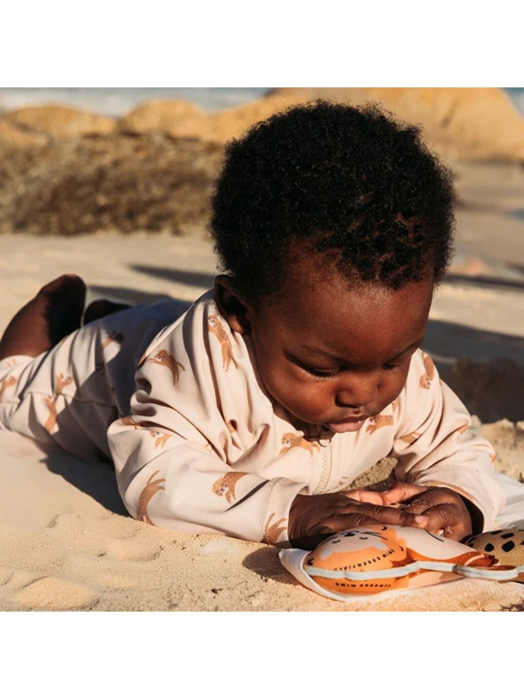 Swim Essentials Big Three Animals 3'lü Kum Dolgulu Dalış Oyuncağı-1