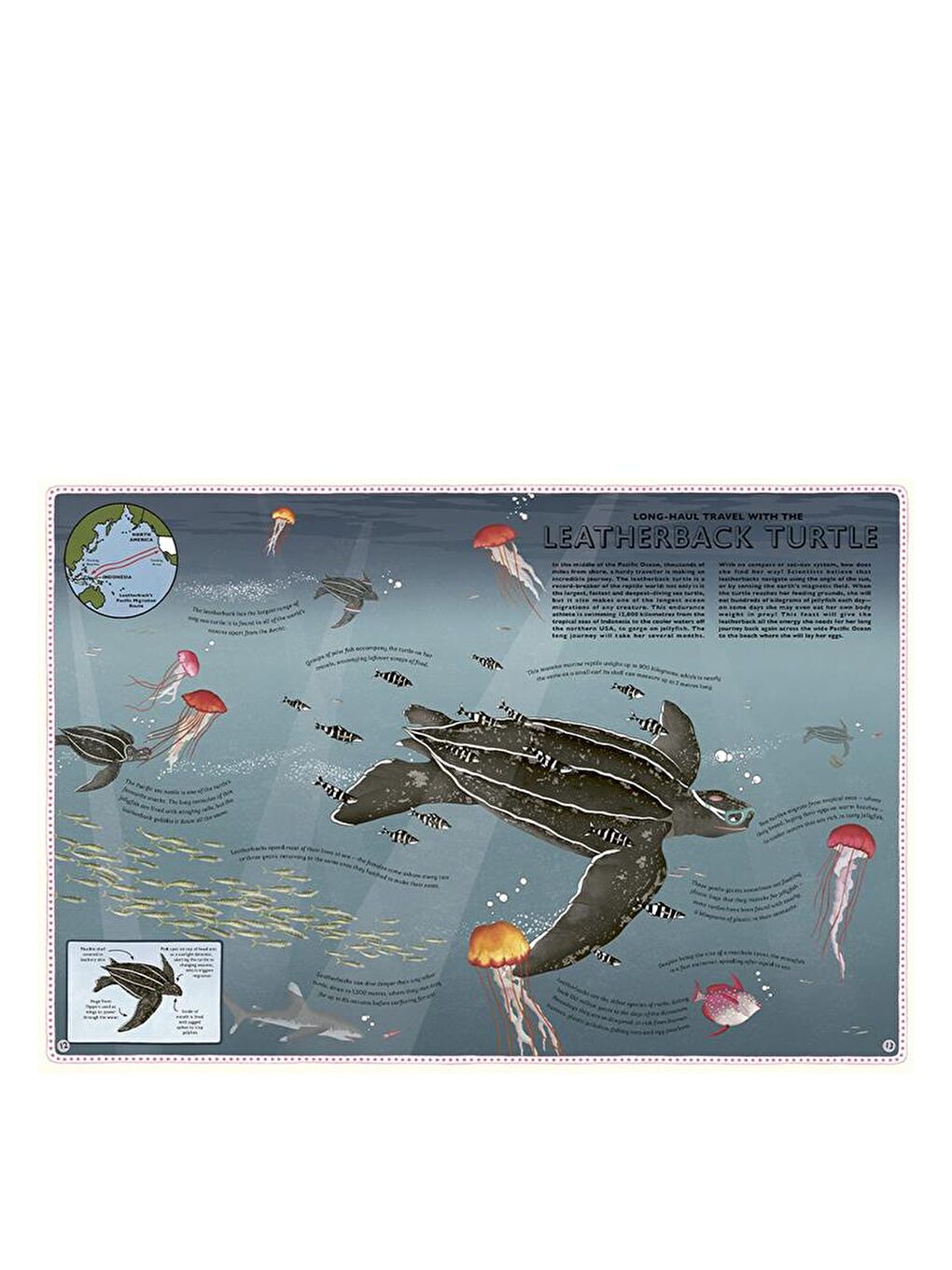 Atlas of Ocean Adventures-4