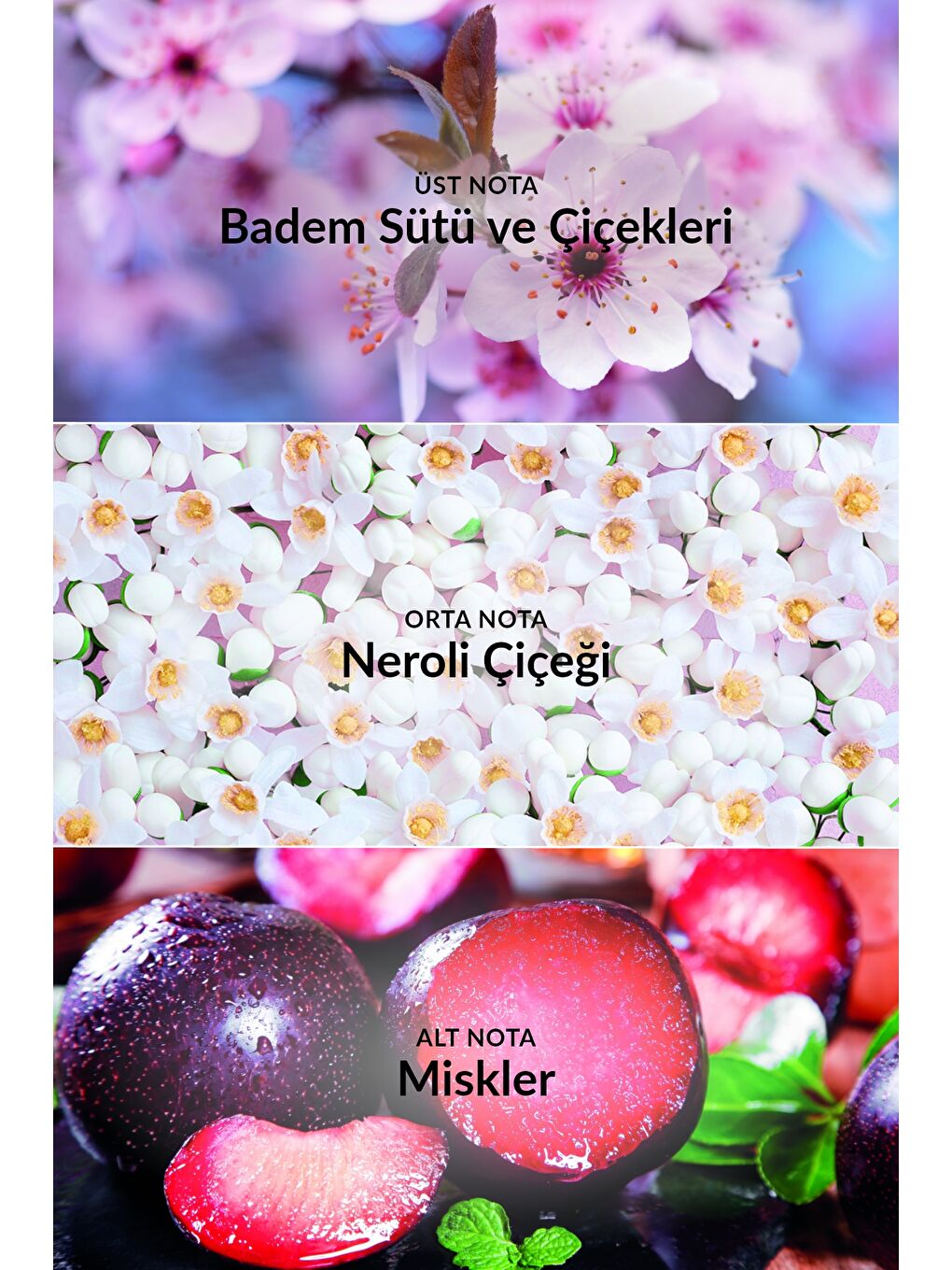 TTA Everlasting Kadın Parfüm Edp 100 Ml.-3
