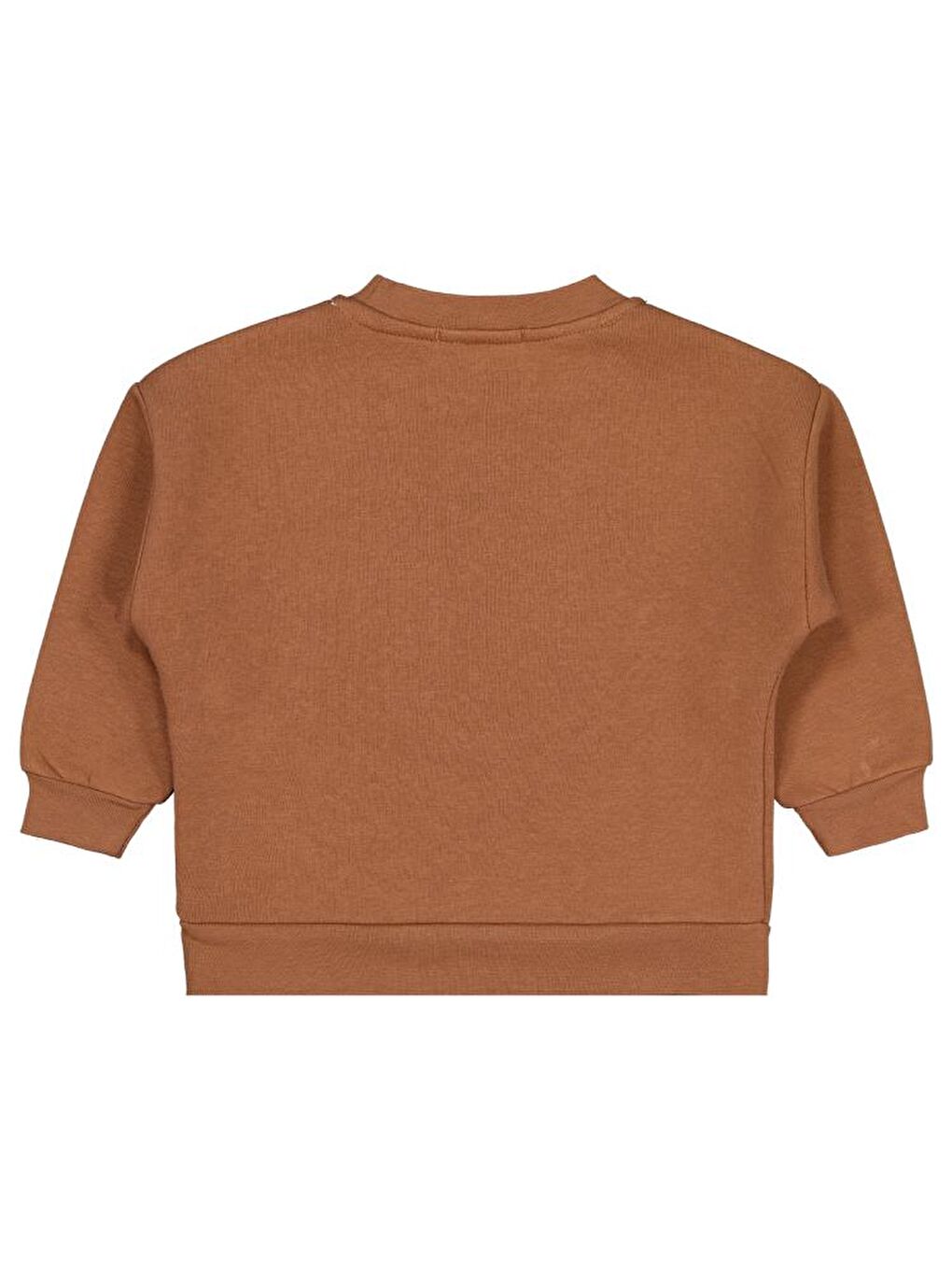 Boys Go Team Tıger Baskılı 2-5 Yaş Sweatshirt - Kahverengi 4-5 Yaş-1