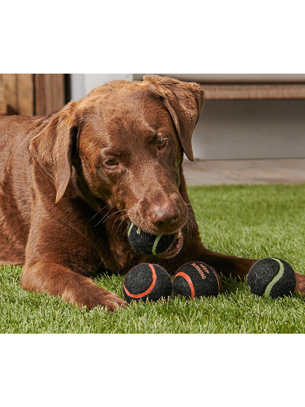 Köpekler İçin Oyuncak Top, 4 Lü Set-1
