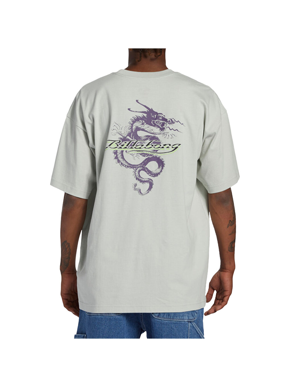 Enter The Drago Tees Erkek Gri Tişört-3