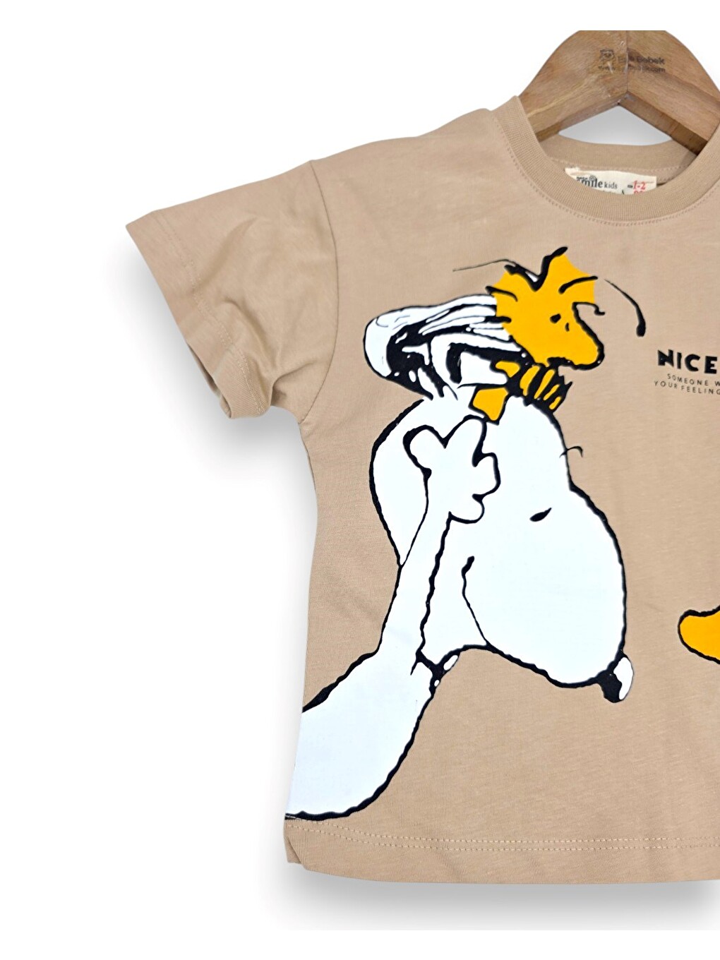 Bej Erkek Çocuk Yazlık Snoopy Baskılı Şort T-shirt 2'li Takım-3