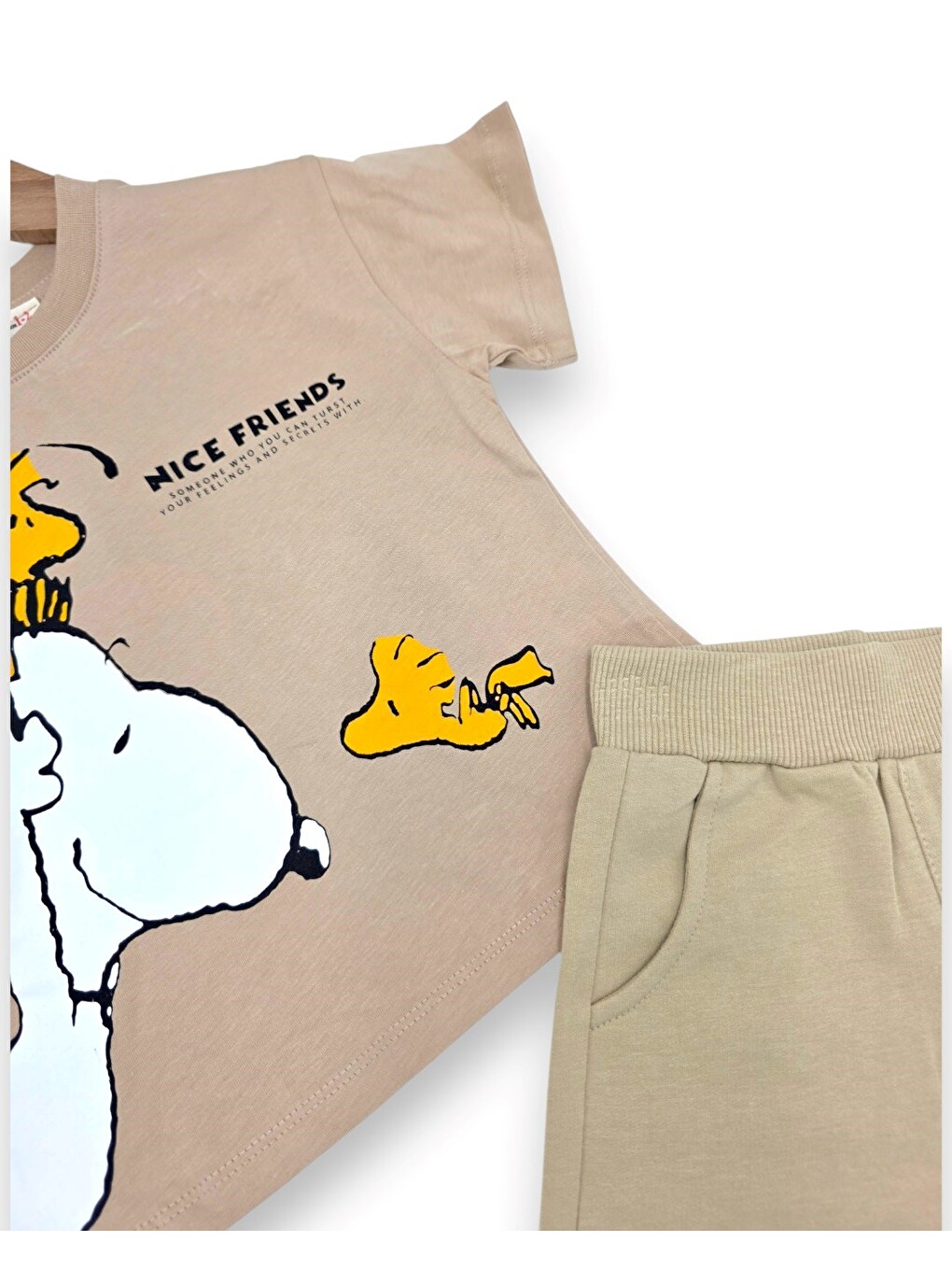 Bej Erkek Çocuk Yazlık Snoopy Baskılı Şort T-shirt 2'li Takım-5