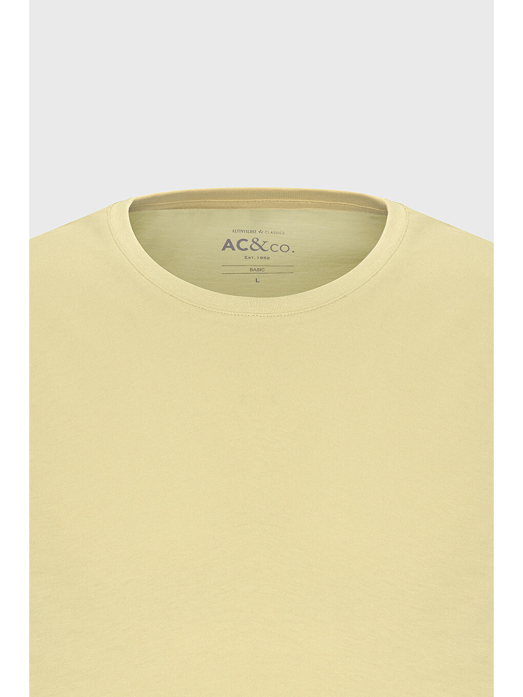 Erkek Sarı Slim Fit Dar Kesim %100 Pamuk Bisiklet Yaka Kısa Kollu Tişört-11