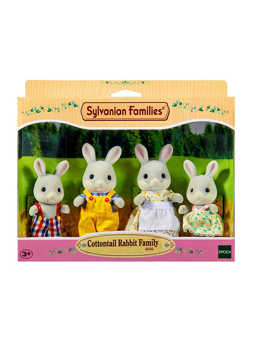 Pamuk Kuyruklu Tavşan Ailesi 4030