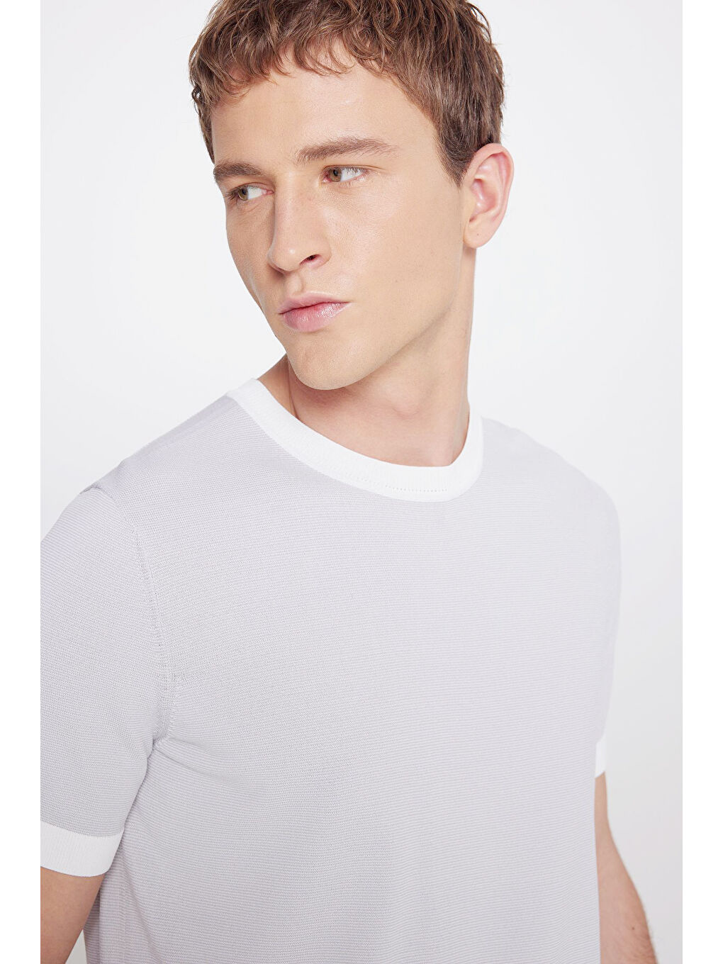 Erkek Gri-Ekru Standart Fit Normal Kesim Bisiklet Yaka Desenli Triko Tişört-3