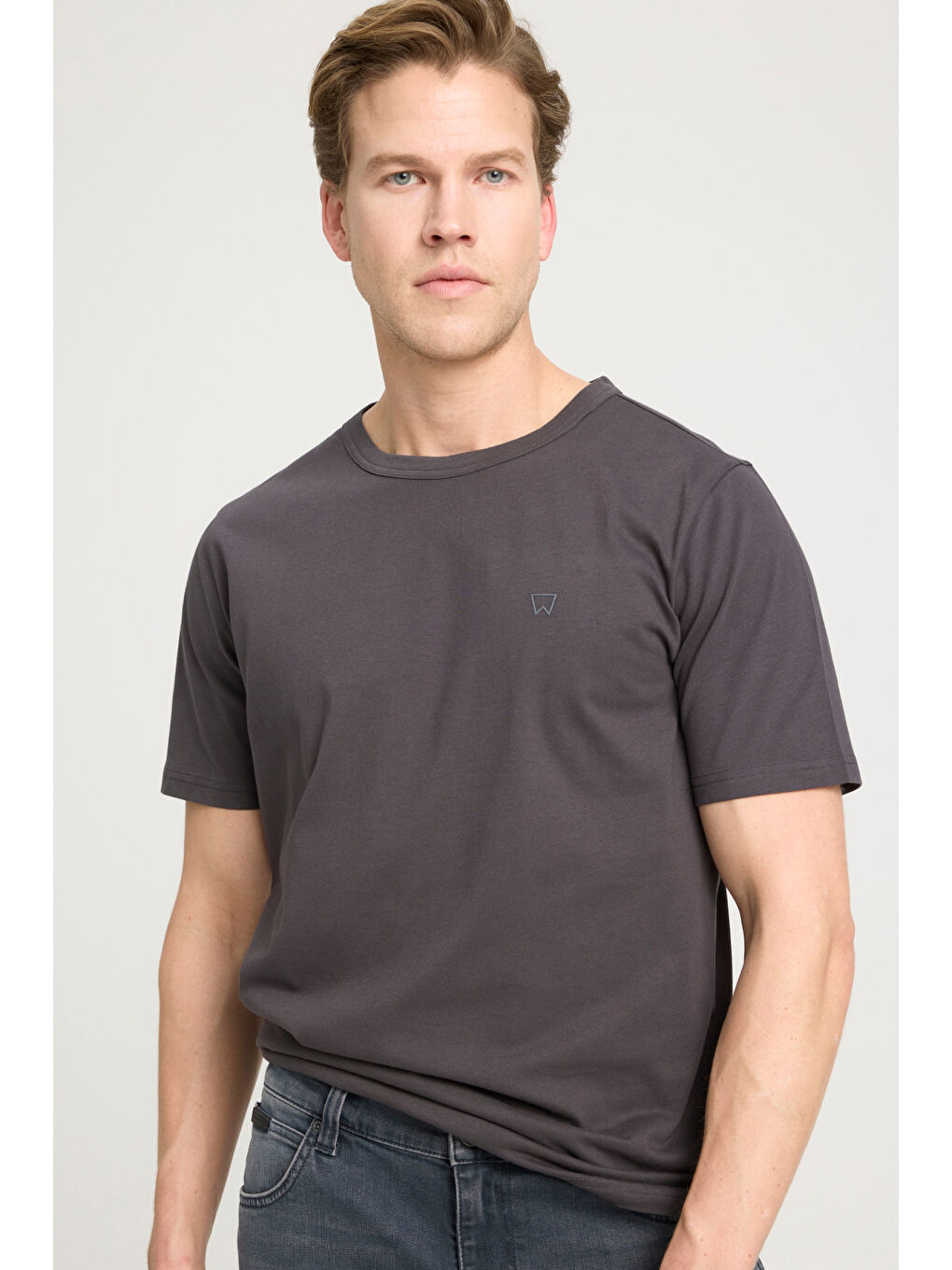 Regular Fit Normal Kesim Bisiklet Yaka %100 Pamuk Antrasit Tişört