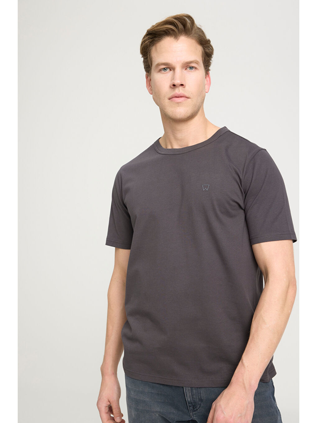 Regular Fit Normal Kesim Bisiklet Yaka %100 Pamuk Antrasit Tişört-1