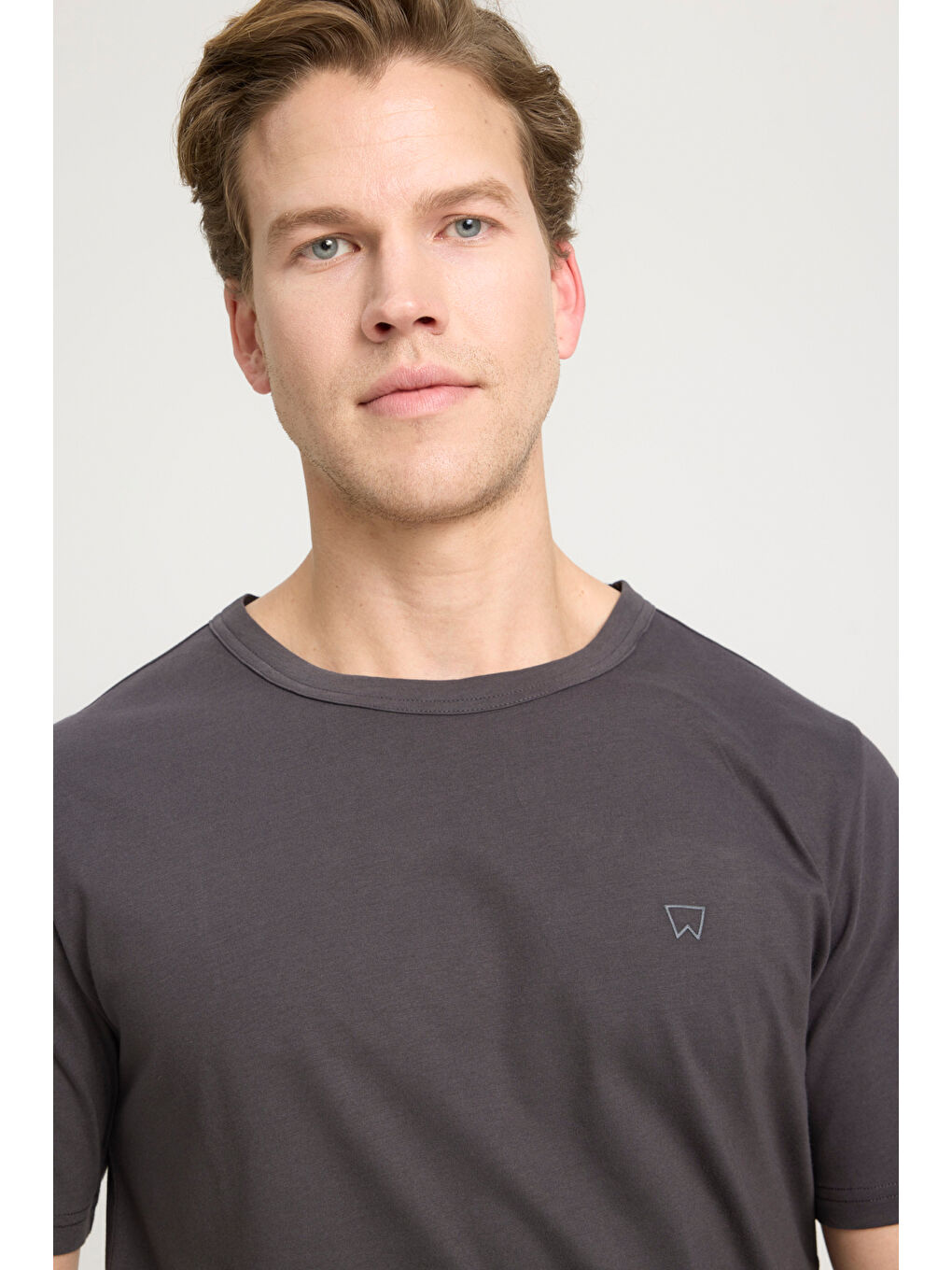 Regular Fit Normal Kesim Bisiklet Yaka %100 Pamuk Antrasit Tişört-3