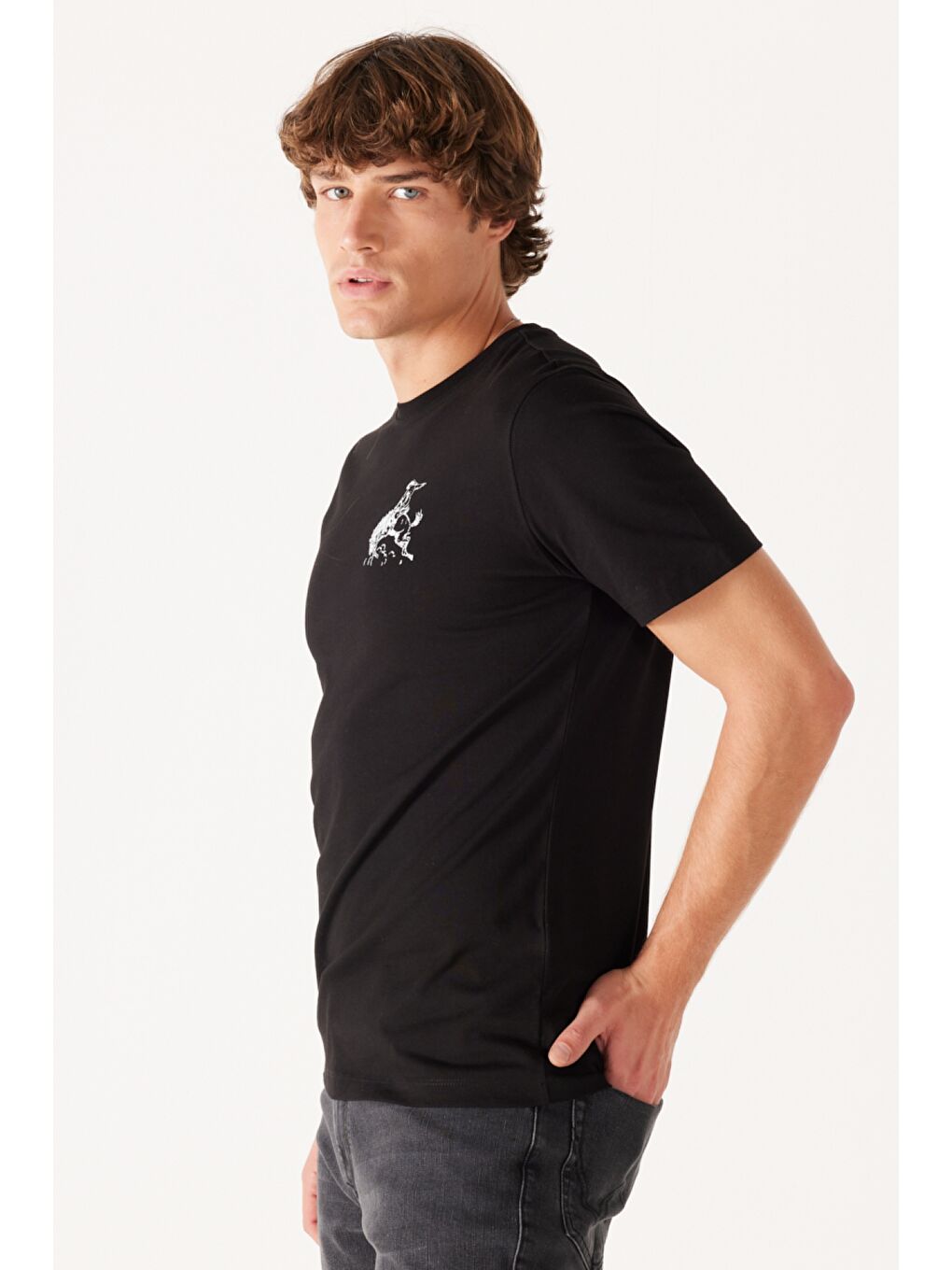 Regular Fit Normal Kesim %100 Pamuk Bisiklet Yaka Siyah Tişört-4