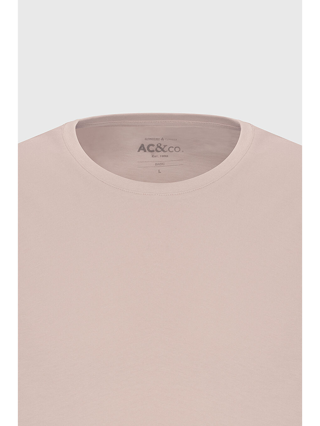 Pembe Erkek Gül Kurusu Slim Fit Dar Kesim %100 Pamuk Bisiklet Yaka Kısa Kollu Tişört-6