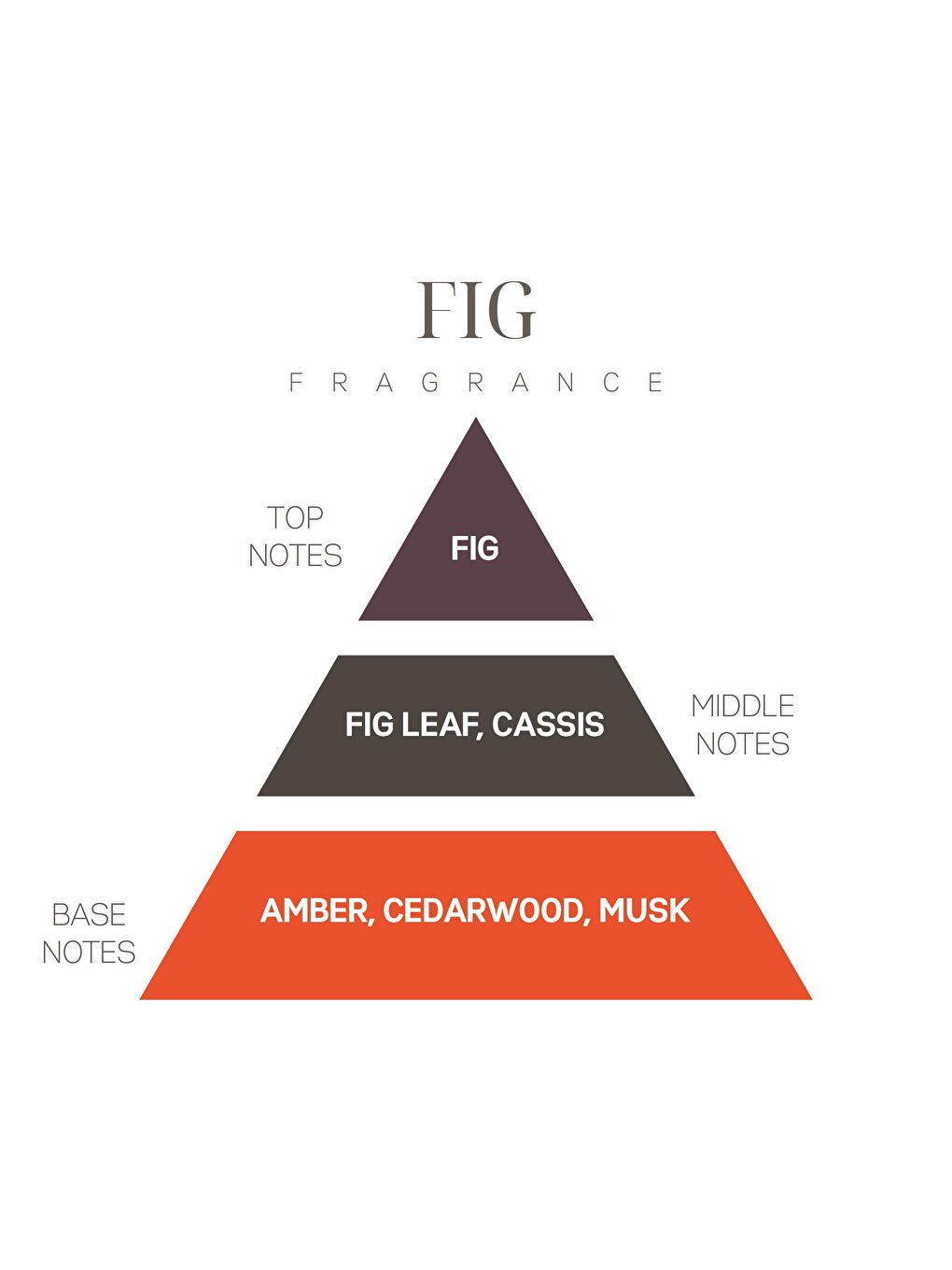 Lila Koku Günlüğü: Fig (İncir)-3