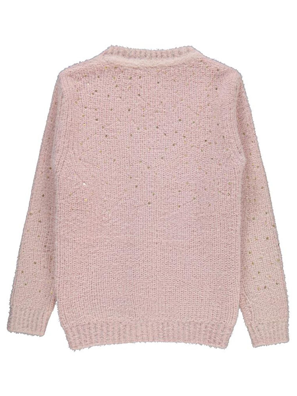 Pembe Girls Pul Nakışlı 6-9 Yaş Hırka - Pudra 8-9 Yaş-1