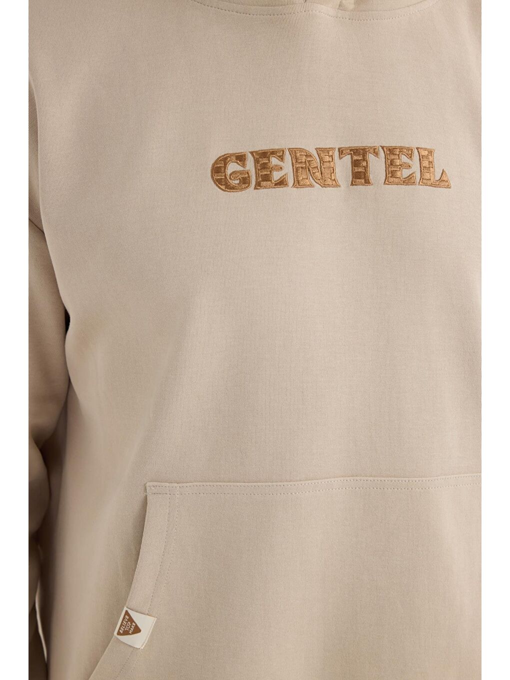 Erkek Oversize Geniş Kesim Pamuklu Baskılı Bej Kapüşonlu Sweatshirt-2