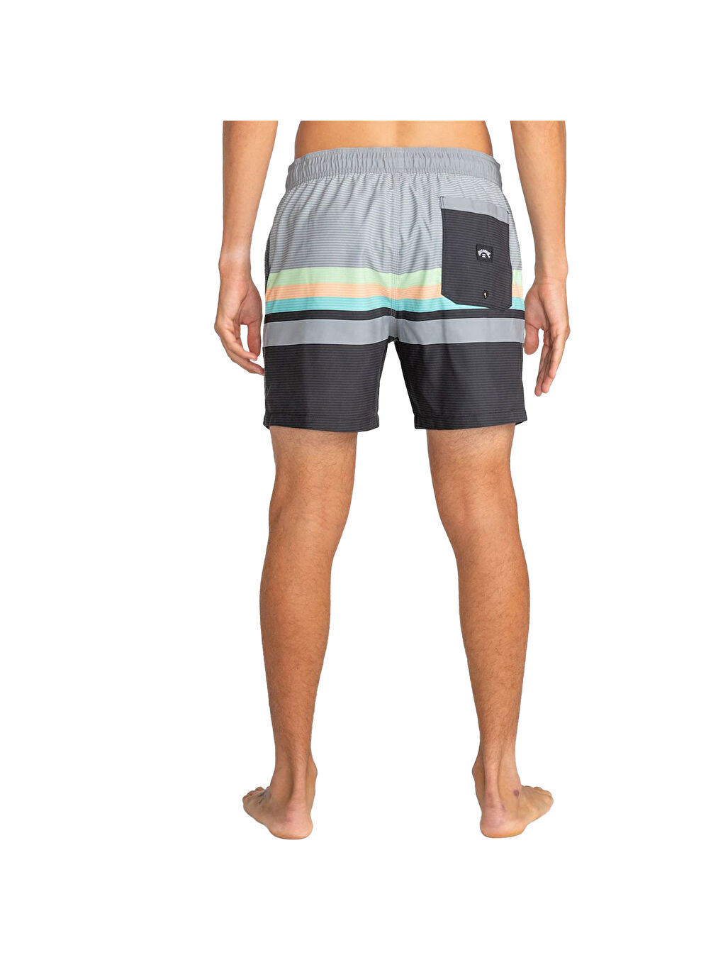 Karışık All Day Htr Stripes Lb Erkek Volley Short-2