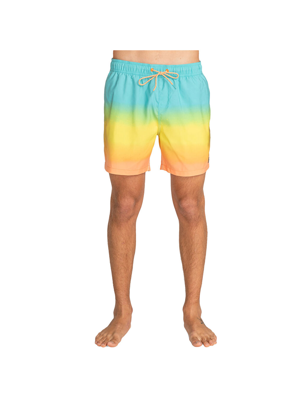 Karışık All Day Fade Lb Erkek Volley Short-2