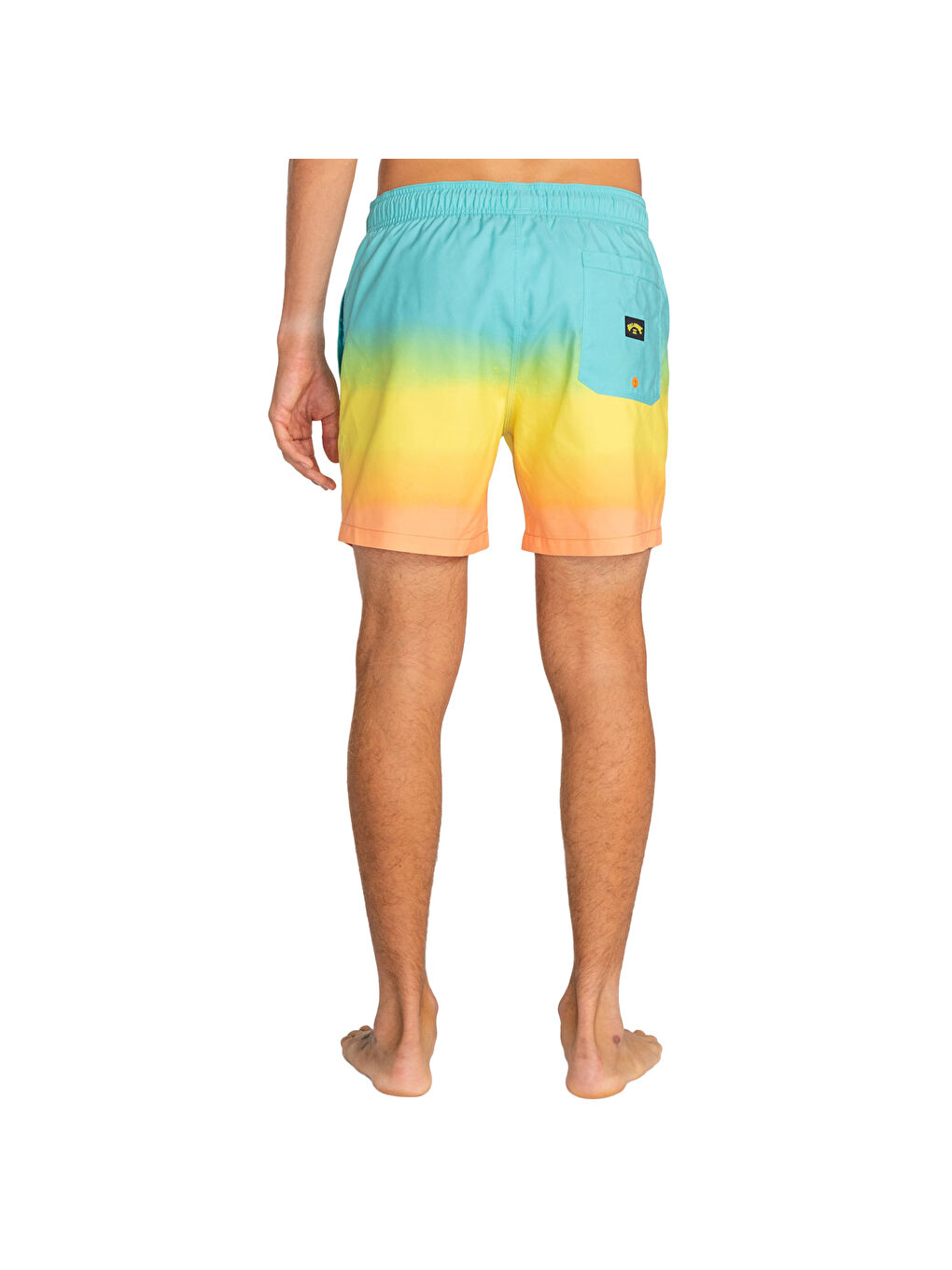 Karışık All Day Fade Lb Erkek Volley Short-3