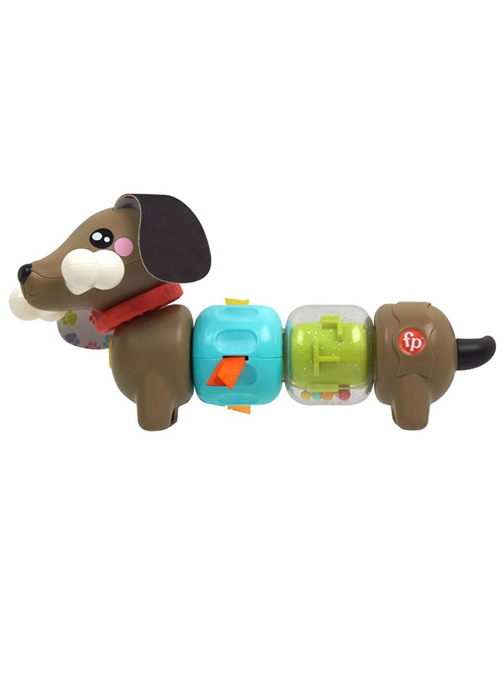 Köpekçikle Eğlenceli Aktiviteler - Standart