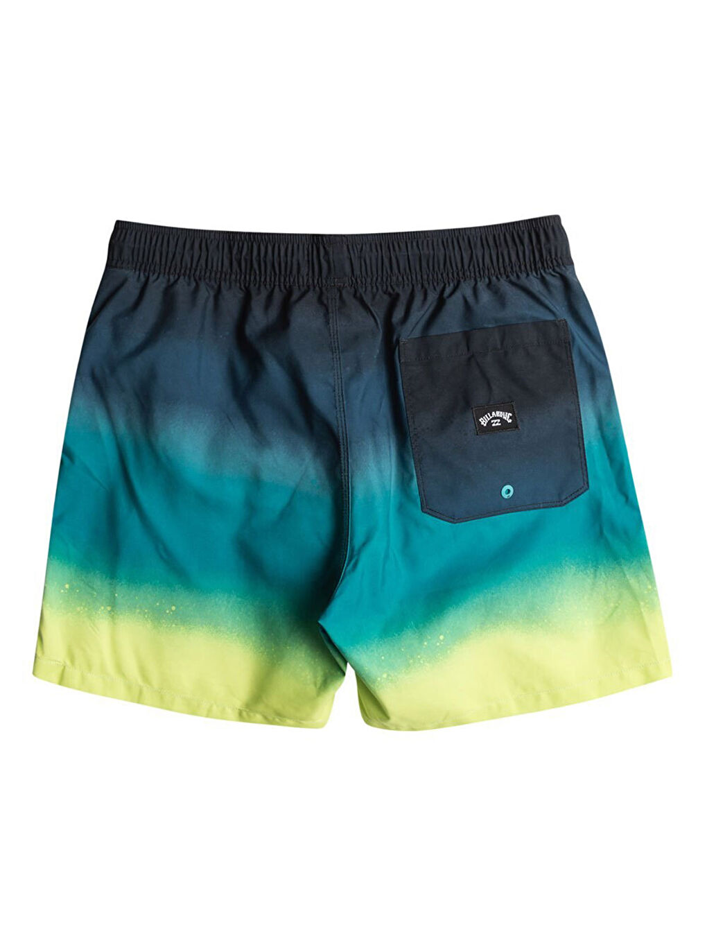 All Day Fade Lb Erkek Siyah Volley Short-3