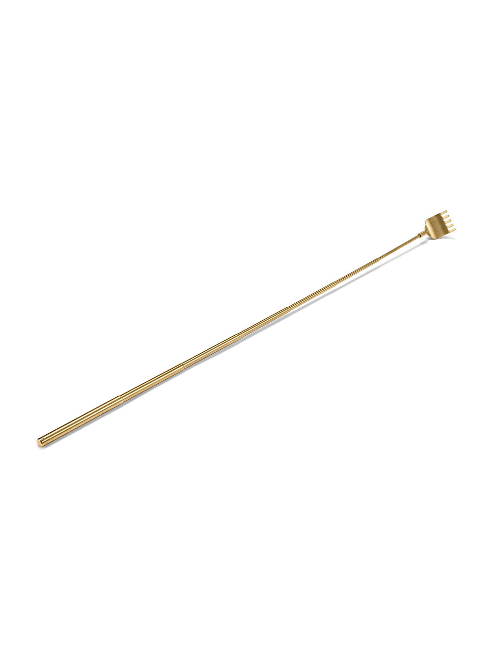 Sırt Kaşıyıcı-1