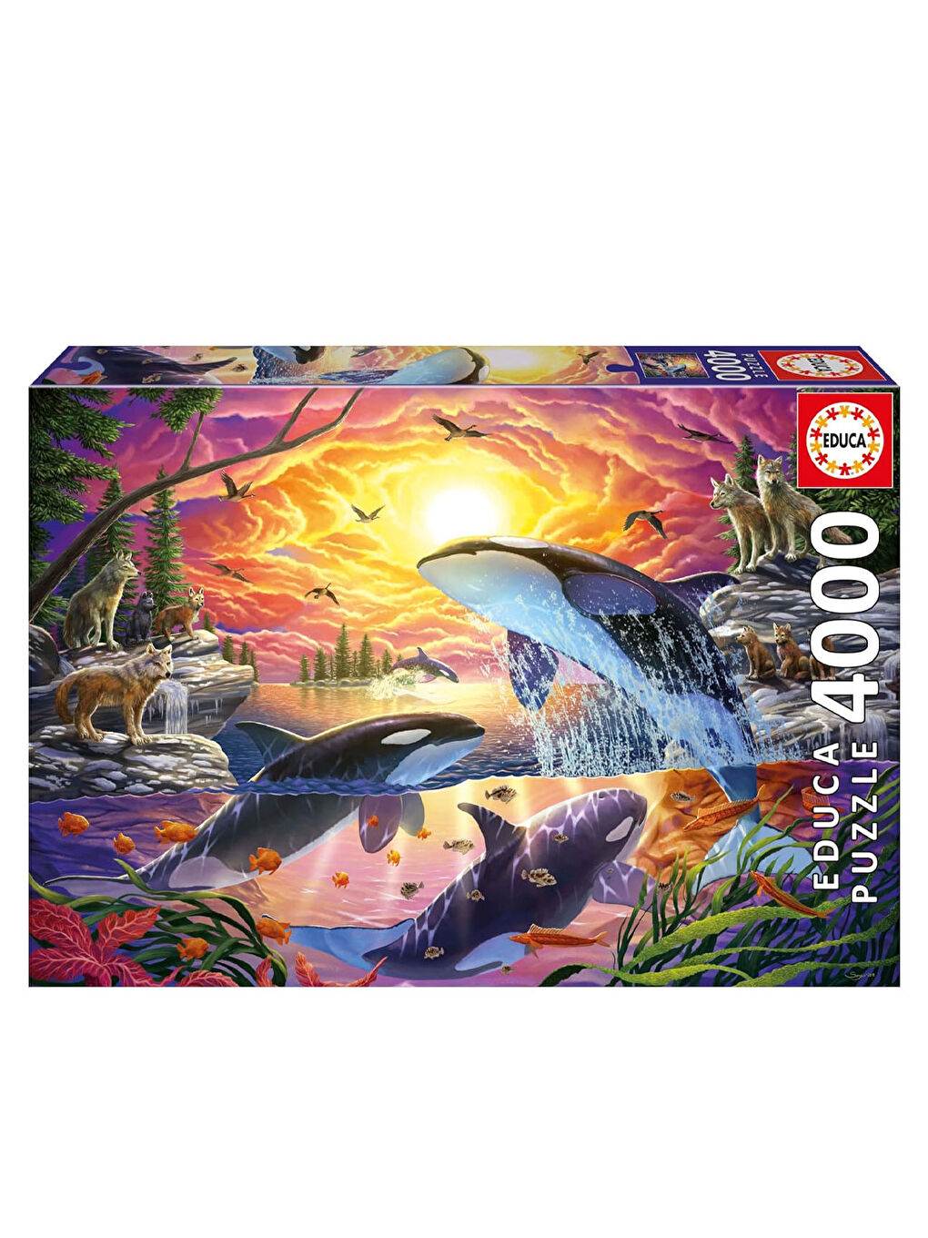 Puzzle 4000 Parça Katil Balina ve 20259