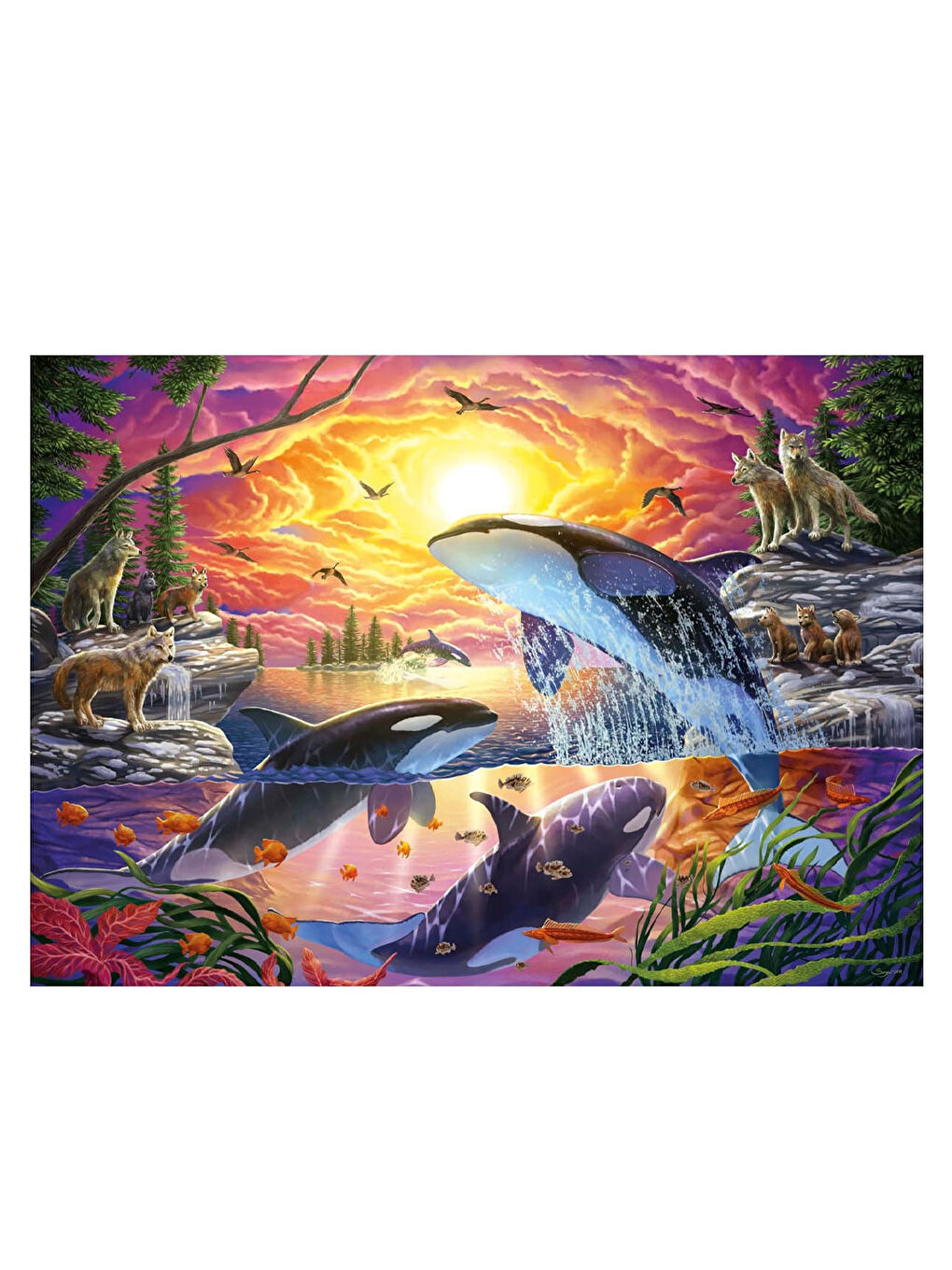 Puzzle 4000 Parça Katil Balina ve 20259-1