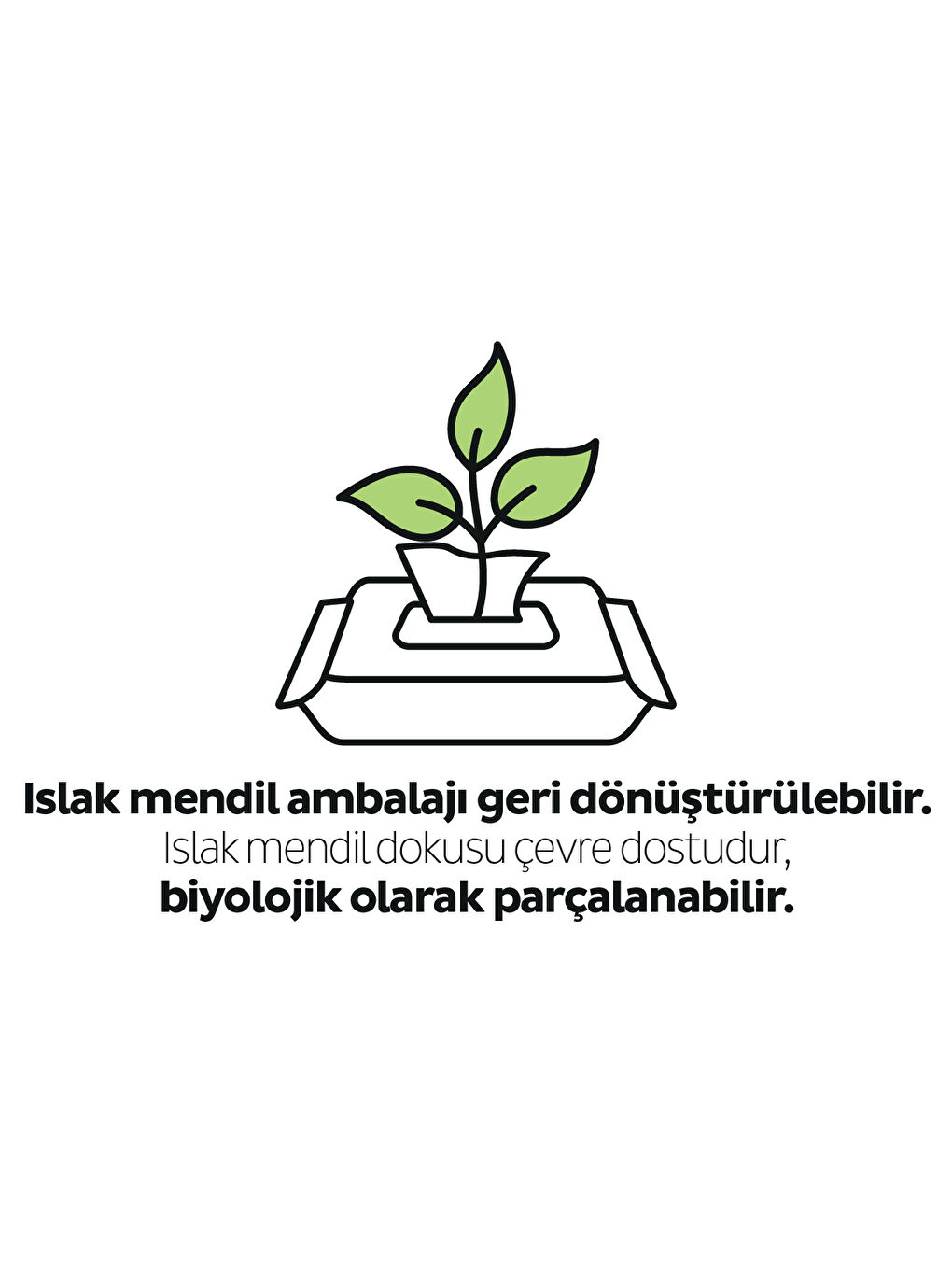 Ecologic Yenidoğan Islak Bebek Bakım Havlusu 24x40 (960 Yaprak)-3