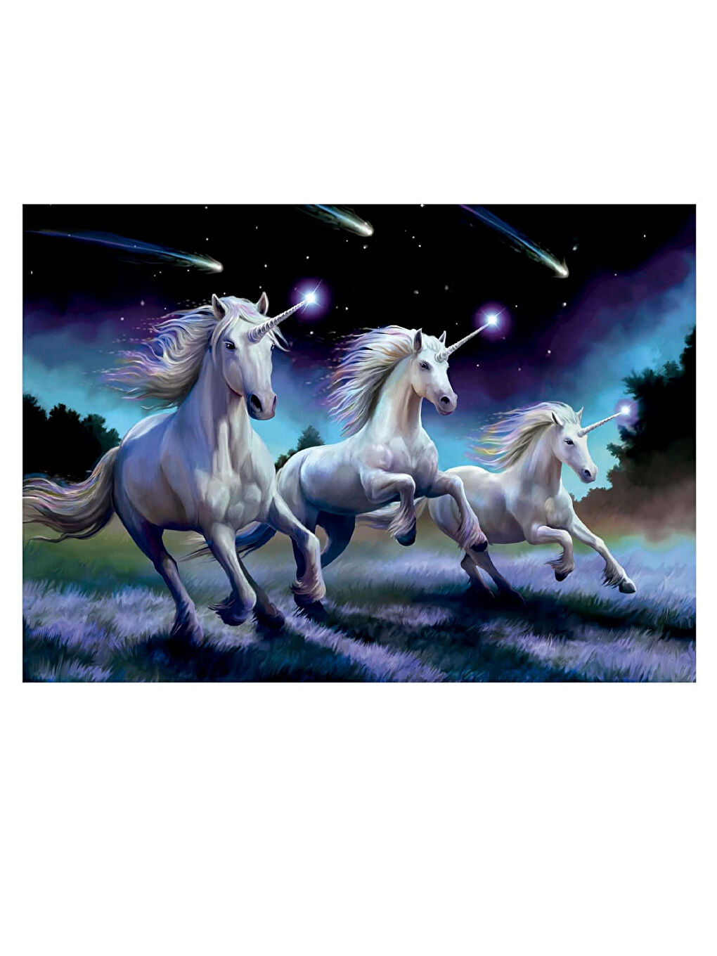 Puzzle 1000 Parça Kayan Yıldız, Anne Stoke 19919-1