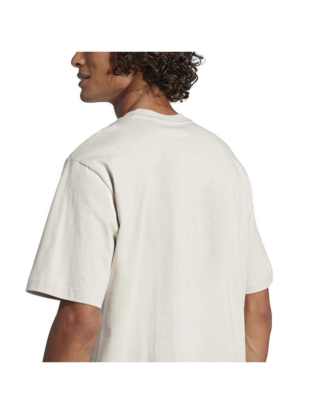 Essentials Linear Sj Erkek Ekru Bisiklet Yaka Tişört-4
