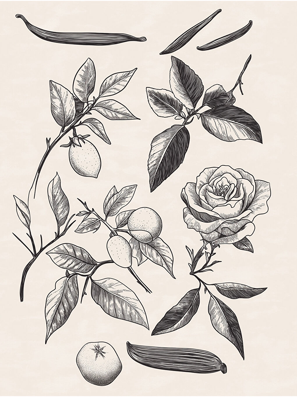 Black Serenity Çubuklu Oda Kokusu 200 ml Siyah-5