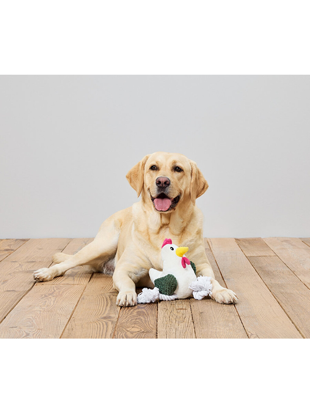 Beyaz Halat Köpek Oyuncağı-1