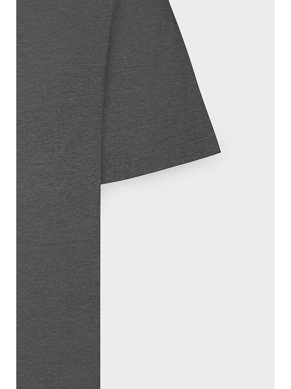 Erkek Antrasit Slim Fit Dar Kesim %100 Pamuk Bisiklet Yaka Kısa Kollu Tişört-7