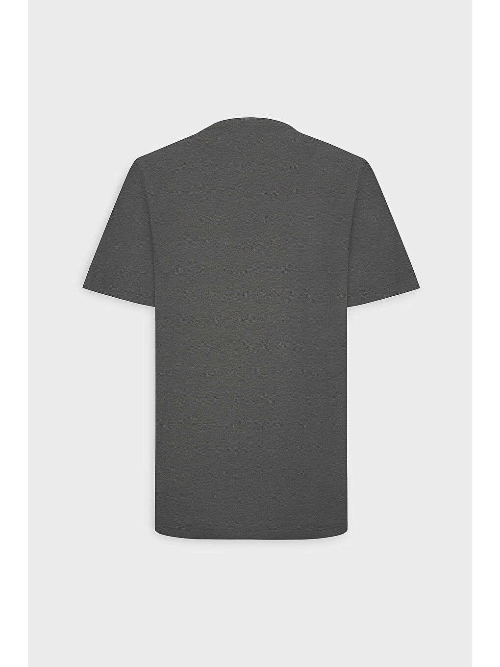 Erkek Antrasit Slim Fit Dar Kesim %100 Pamuk Bisiklet Yaka Kısa Kollu Tişört-8