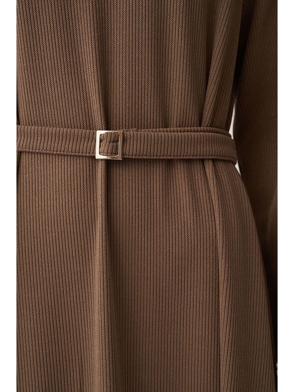 Bej Vizon-Kemer Tokalı Elbise-4