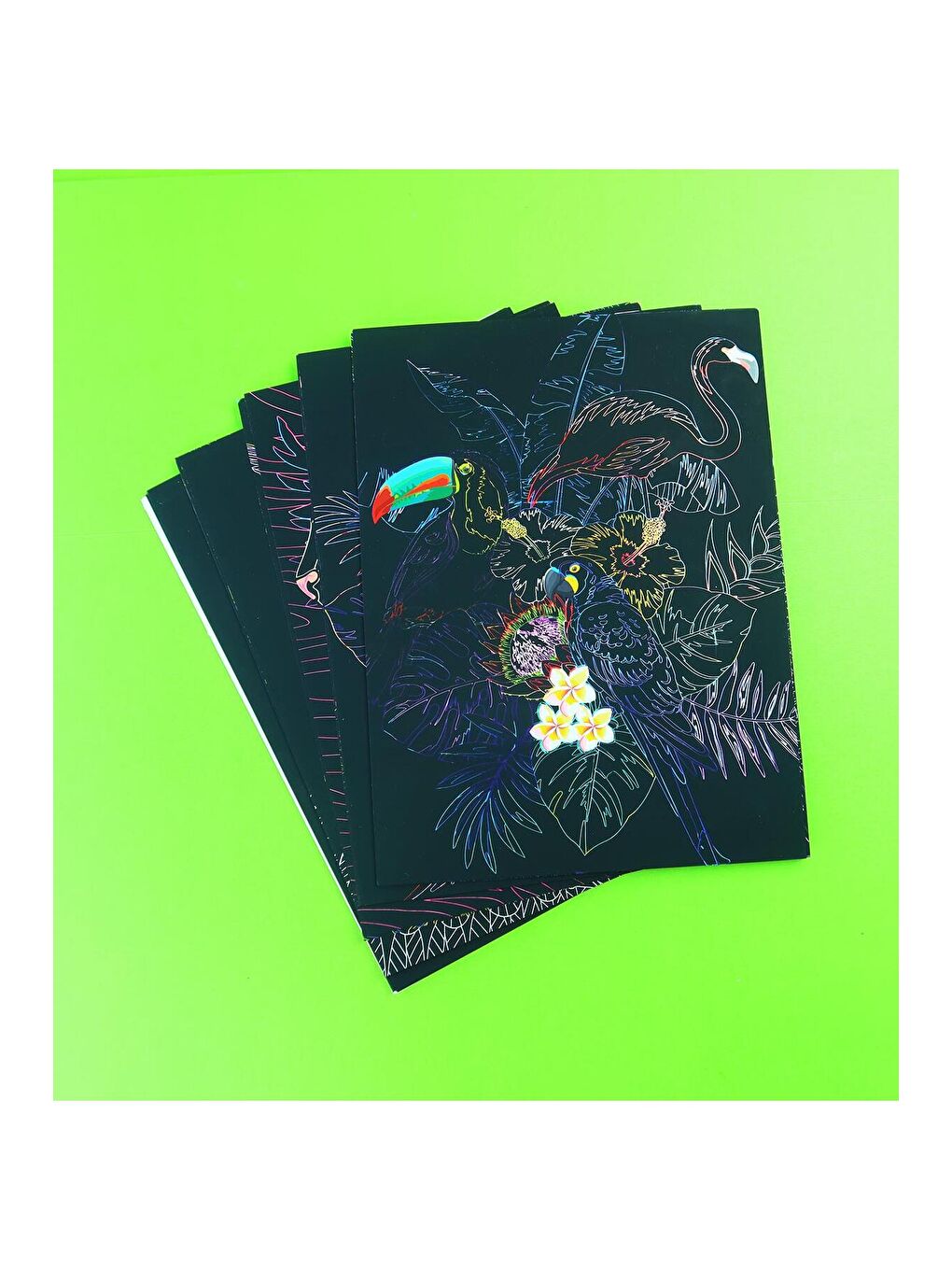 Artmaker Neon Nature Kazımalı Boyama Seti – 16 Panel, Şablon ve Kalemli Scratch Art Seti-2