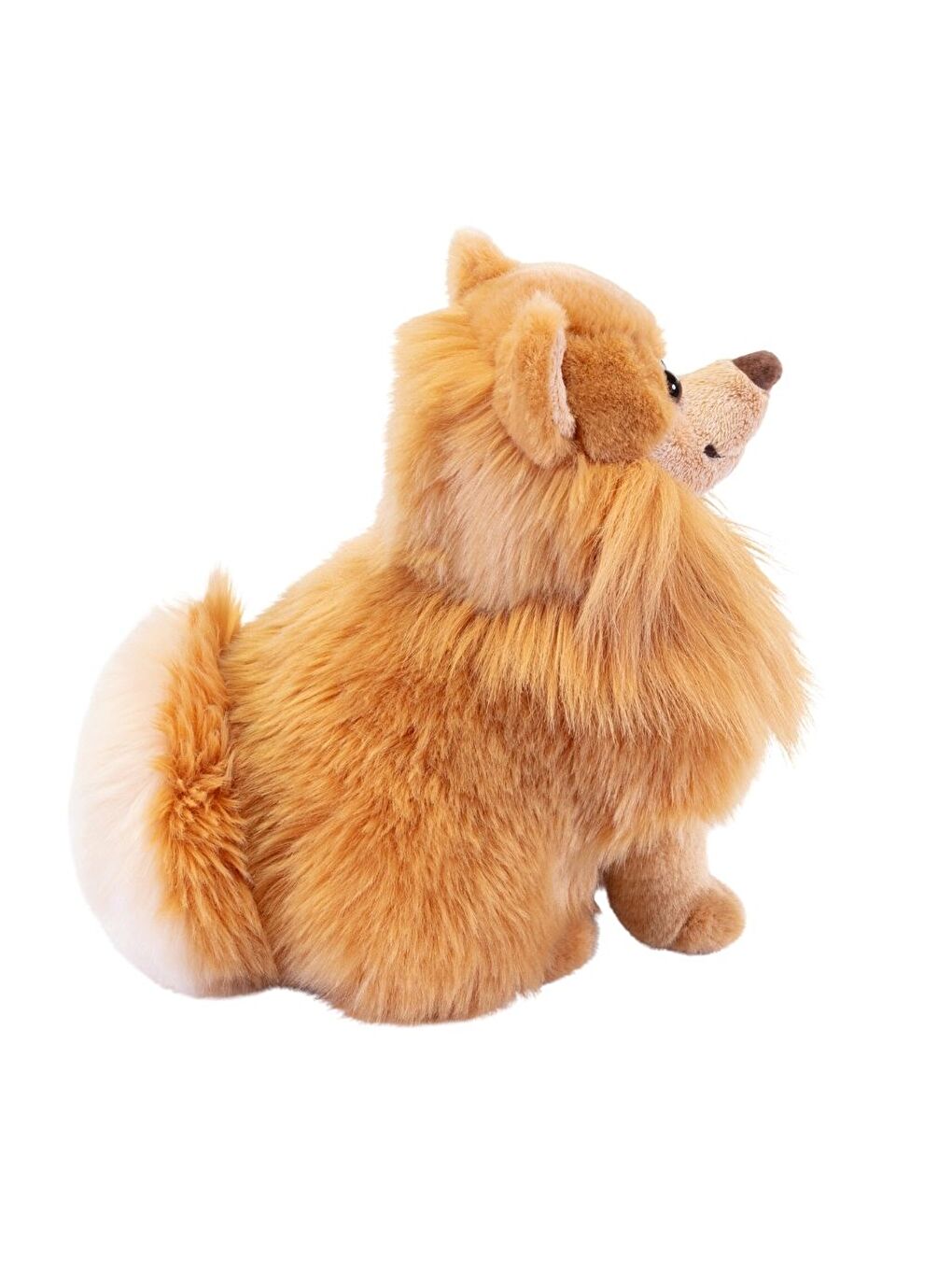 Pomerian Biscuit 22348-2