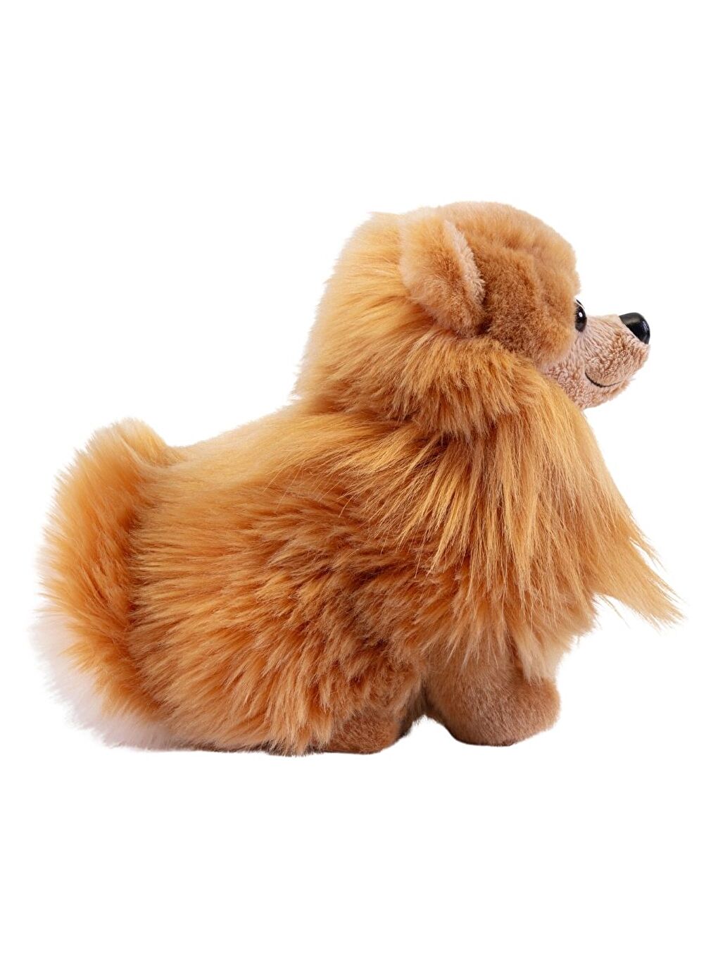 Pomerian Biscuit 22348-3