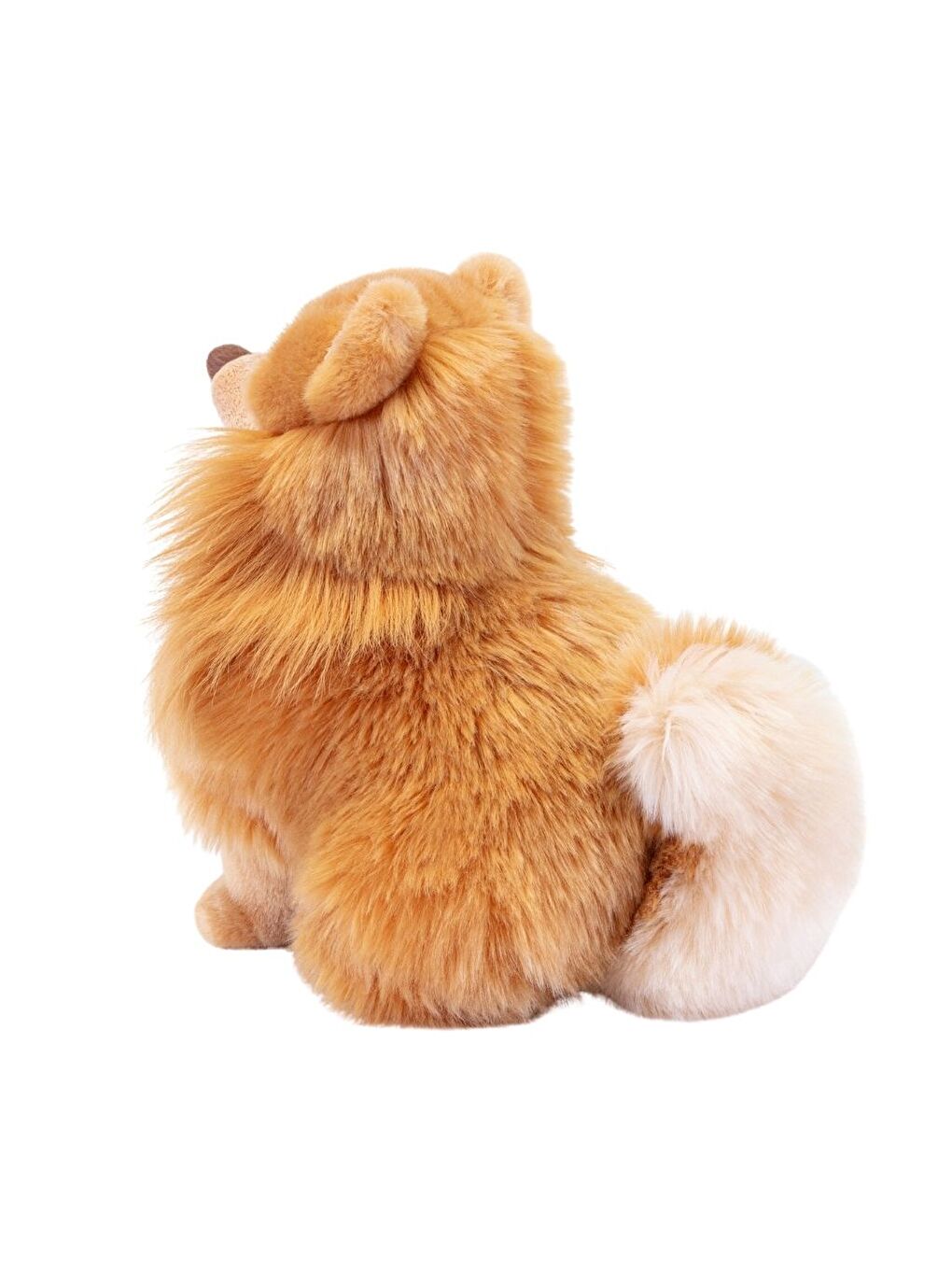 Pomerian Biscuit 22348-4