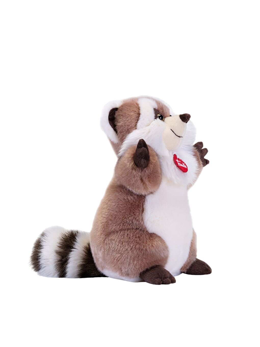 Raccoon Ringo 24042-3