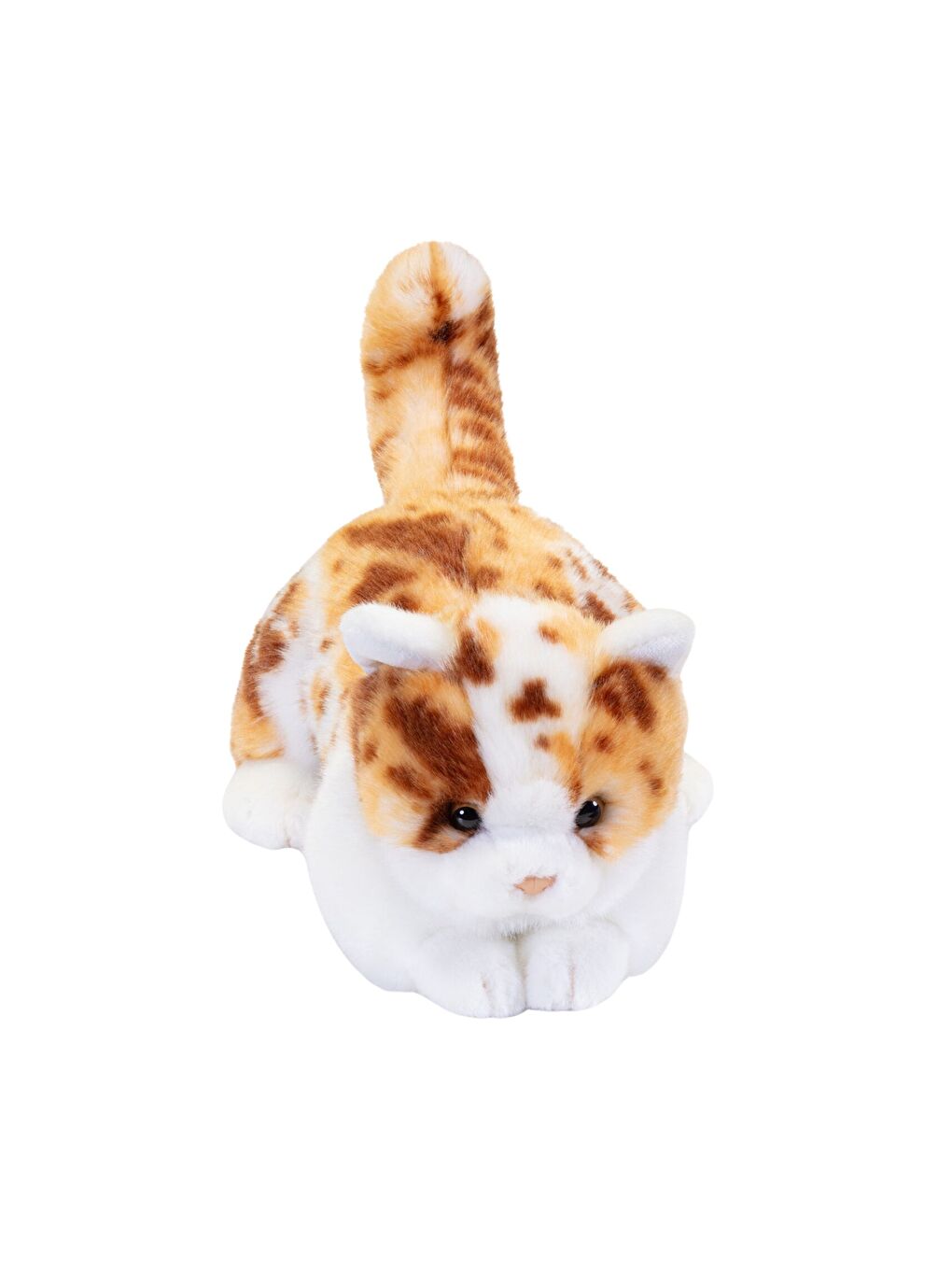 Brad Spotted 21045-1