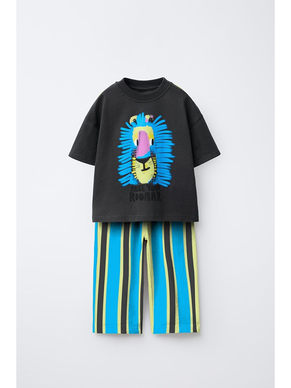 Karışık Erkek Çocuk Pamuklu Antrasit Aslan Baskılı T-Shirt Ve Çizgili Eşofman Takım