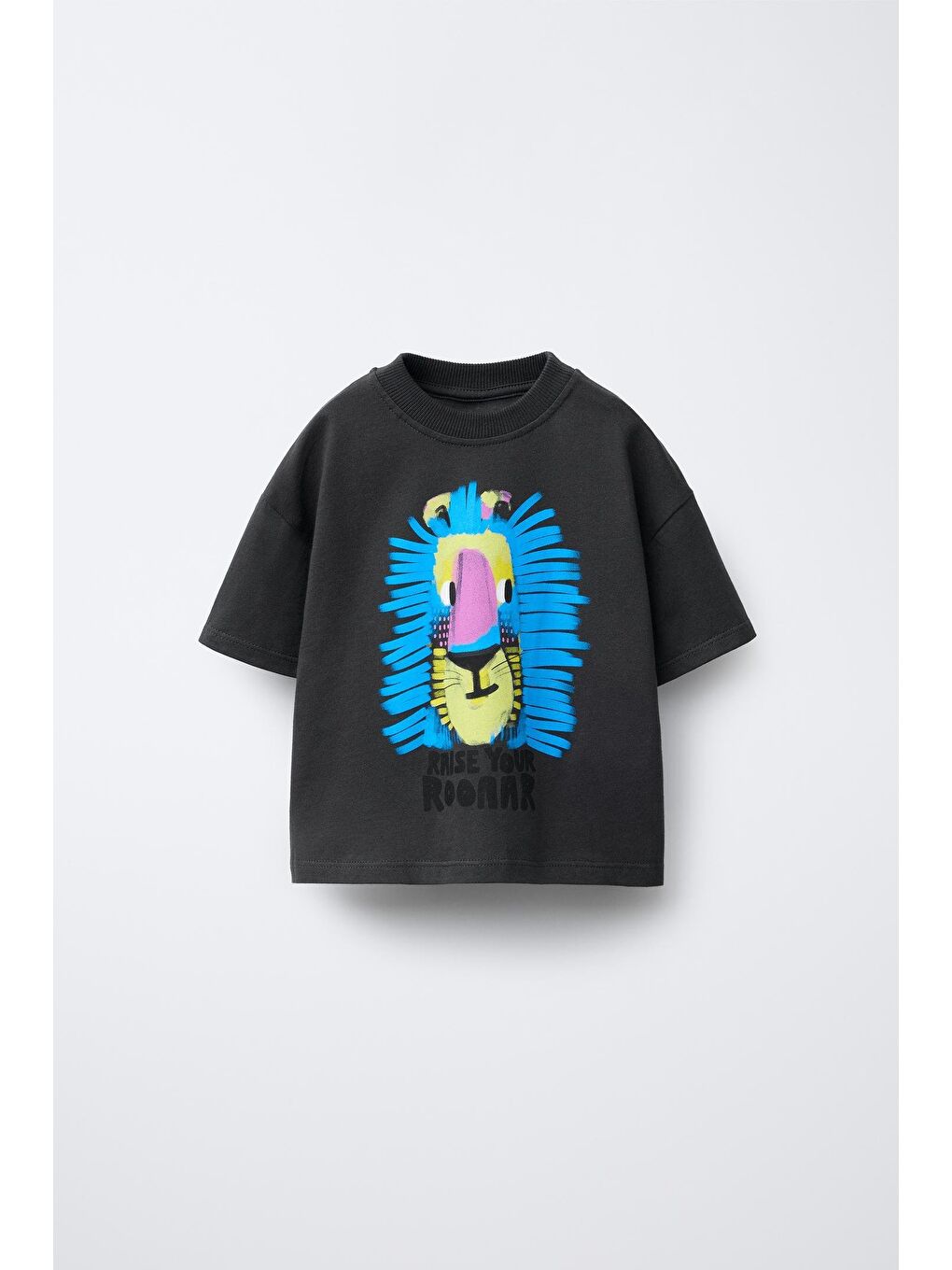 Karışık Erkek Çocuk Pamuklu Antrasit Aslan Baskılı T-Shirt Ve Çizgili Eşofman Takım-1