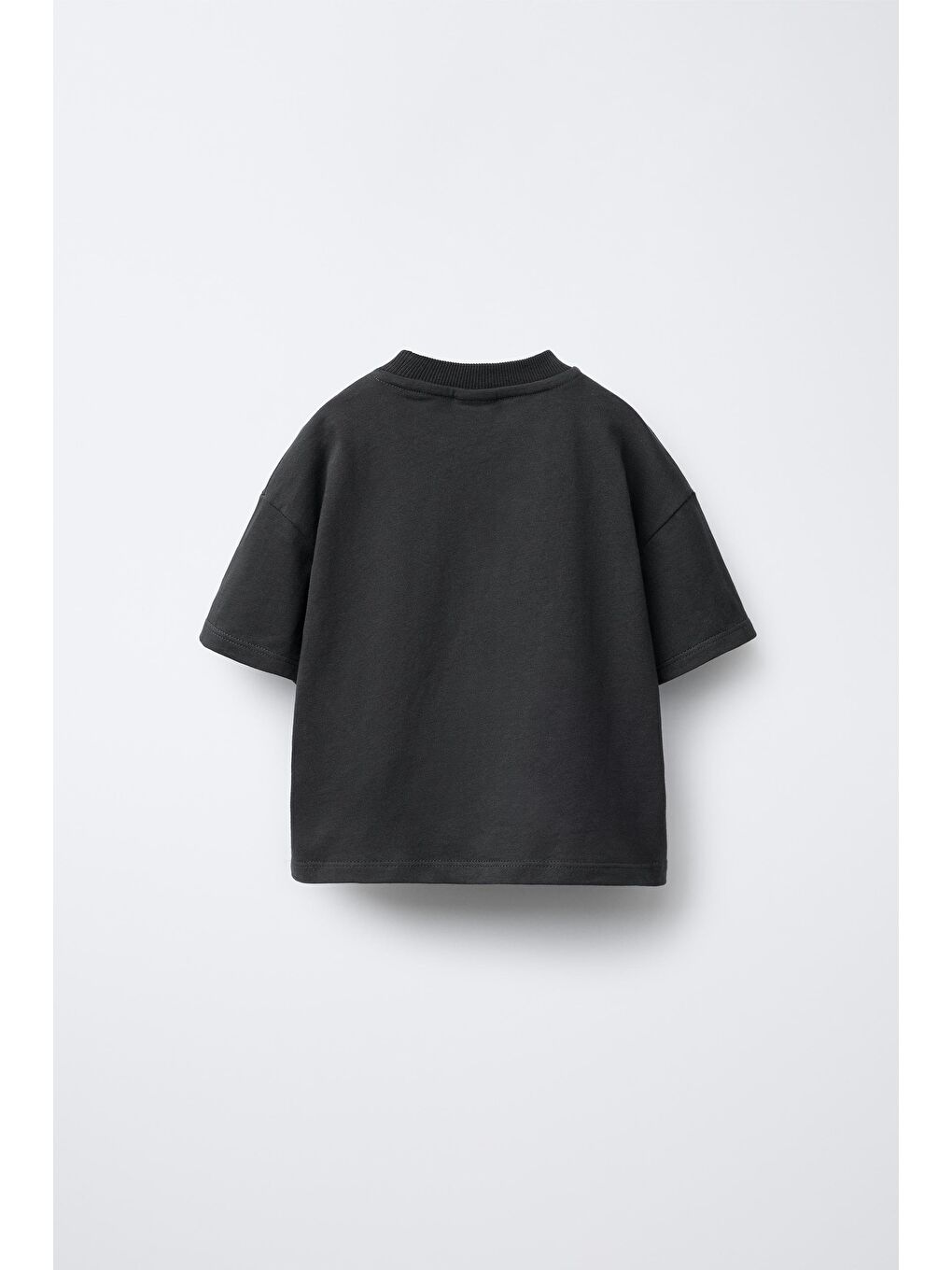 Karışık Erkek Çocuk Pamuklu Antrasit Aslan Baskılı T-Shirt Ve Çizgili Eşofman Takım-2