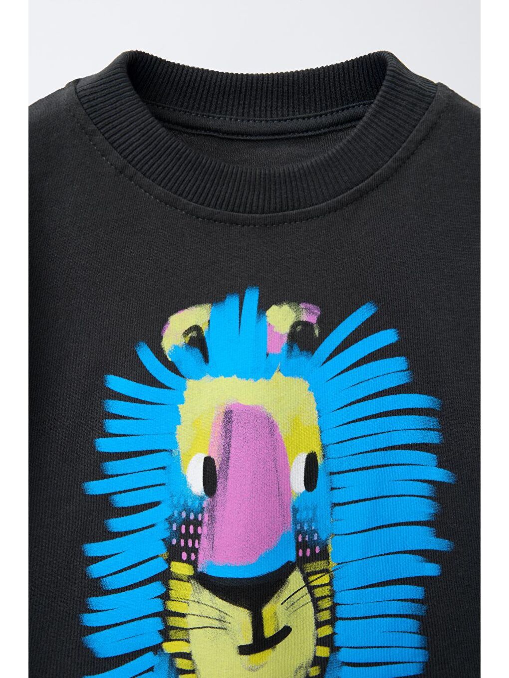 Karışık Erkek Çocuk Pamuklu Antrasit Aslan Baskılı T-Shirt Ve Çizgili Eşofman Takım-3